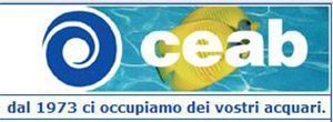 Ceab_logo.JPG